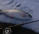 Alaska Fishing03
