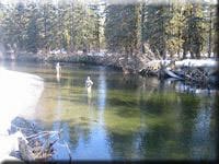 Alaska fly fishing for king salmon