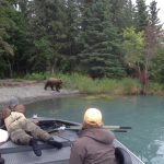 Bearpics
