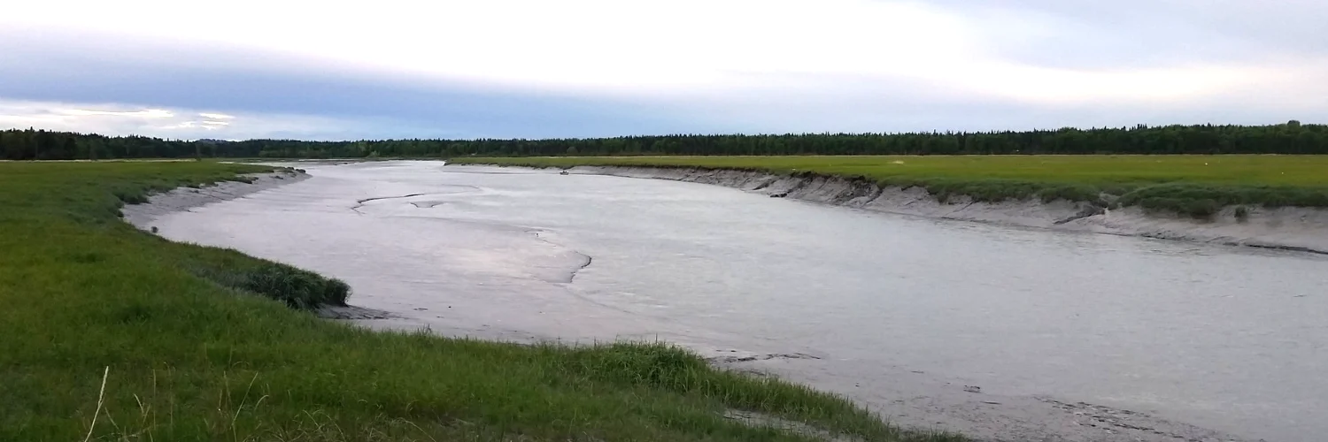 Lower Kasilof Low Tide 1500×500