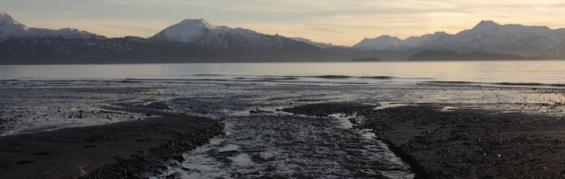 Cook Inlet, Alaska Tide Tables